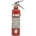 2-1/2 lb., BC Class, Dry Chemical Fire Extinguisher; 15 ft. Range Max., 8 to 10 sec. Discharge Time