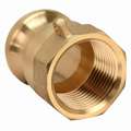 Forged Brass Adapter, Coupling Type A, Male Adapter x FNPT Connection Type