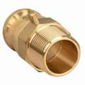 Forged Brass Adapter, Coupling Type F, Male Adapter x MNPT Connection Type