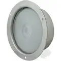 Grote Stainless Steel Back Up Light 4.15" G62151