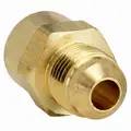Female Connector, Flare x FNPT Connection Type, 1/4" Tube Size, 10PK