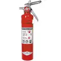 Amerex 2-1/2 lb., ABC Class, Dry Chemical Fire Extinguisher; 15 ft. Range Max., 10 sec. Discharge Time