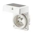Hubbell Wiring Device-Kellems White Flanged Locking Inlet, 50 Amps, 125/250 VAC Voltage, NEMA Configuration: Non-NEMA