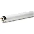 GE Lighting 48" 32 Watts Linear Fluorescent Lamp, T8, Medium Bi-Pin (G13), 2900 Lumens, 6500K Bulb Color Temp.