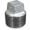 Galvanized Malleable Iron Square Head Plug, 1/8" Pipe Size, MNPT Connection Type