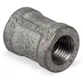 Galvanized Malleable Iron Coupling, 1/8" Pipe Size, FNPT Connection Type