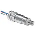 Ashcroft Pressure Switch, 500 to 5000 PSI Range, 1/4" MNPT Process Connection, 316 Stainless Steel Housing