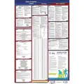 Labor Law Poster, WV Federal and State Labor Law, English, None
