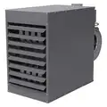 Standard-Profile Unit Heater, Natural Gas, Combustion Type Field Convertible