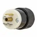 Bryant Midget Locking Plug, 125V AC Voltage, 15 A Amps, NEMA Configuration: ML-2P, Number of Wires: 3
