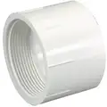Female Adapter: Schedule 40, 4 in x 4 in Fitting Pipe Size, Female NPT x Female Socket, White