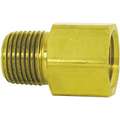 Brass Pipe Adapter, 1/4" Pipe Size, 20 PK