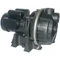 120/208 to 240 VAC Thermoplastic Centrifugal Pump, 1-Phase, 2" NPT Inlet Size