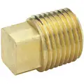 Brass Square Head Plug, MNPT, 3/4" Pipe Size, 1 EA