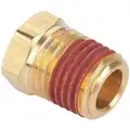 Brass Hex Head Plug, MNPT, 3/4" Pipe Size, 1 EA