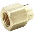Brass Reducing Coupling, FNPT, 1/4" x 1/8" Pipe Size, 1 EA