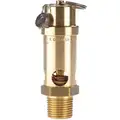 Air Safety Valve: Soft Seat, 1/2 in (M)NPT Inlet (In.), 75 psi Preset Setting (PSI)