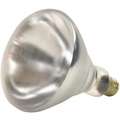 Shat-R-Shield 250 Watts Incandescent Lamp, R40, Medium Screw (E26), 2800K Bulb Color Temp., 1 EA