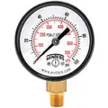 Lead-Free Pressure Gauge: 0 to 100 psi, 2" Dial, 1/8" NPT Male, Bottom, ±3-2-3% Accuracy