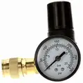 Compressed Air Regulator: 1/4 in, NPT, 45 cfm, 1 Air Inlet(s), 1 Air Outlet(s), 4 in Overall Dp