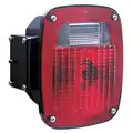 Peterson Stop-Tail-Turn Lamp Right 442