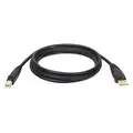 USB 2.0 Cable,Hi-Speed A/B,M/M,15ft