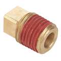 Square Head Plug: Brass, 1/8" Pipe Size, Male NPT, 9/16" Overall Length, Plug