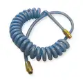 Coiled Air Hose: 1/4 in Hose Inside Dia., Blue, Brass x Brass, 1/4 in x 1/4 in Fitting Size