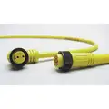 Brad Harrison Cordset: 7/8-16 Male Straight x Bare Wire, 2 Pins, Yellow, PVC, 6 ft Cable Lg, 16 AWG Wire Size