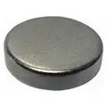 Disc Magnet: Neodymium, Nickel Plating, 4 lb Max. Pull, 0.12" Thick, 1/2" Dia