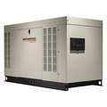 Automatic Standby Generator: 60kW, 250.0, Natural Gas, Liquid, Single Phase, 120V AC/240V AC