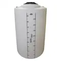 Storage Tank: Single Wall, Vertical, 100 gal, Closed Top, 1/4 in Wall Thick (in)