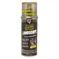 Touch N' Seal Landscape Foam, 12 oz., Aerosol Can, Indoor, Outdoor, Number of Components 1
