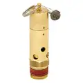 Air Safety Valve: Hard Seat, 1/2 in (M)NPT Inlet (In.), 100 psi Preset Setting (PSI)