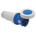 Bryant Watertight Pin and Sleeve Connector: 100 Amps - Plugs and Receptacles, 250V AC, 3 Poles, Blue