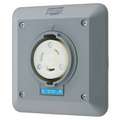 Hubbell Wiring Device-Kellems Locking Receptacle: 30, L6-30R, 2 Poles, 3 Wires, 1 Phase, 250V AC