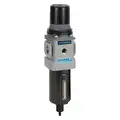 Filter-Regulator: 1/2 in NPT, 164 cfm, 5 micron, 0 psi to 125 psi, 250 psi Max Op Pressure