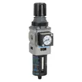 Filter-Regulator: 1/4 in NPT, 73 cfm, 5 micron, 0 psi to 125 psi, 250 psi Max Op Pressure