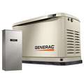 Generac Liquid Propane/Natural Gas Automatic Standby Generator, 120V AC/240V AC