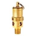 Air Safety Valve: Hard Seat, 1/8 in (M)NPT Inlet (In.), 1/8 in (F)NPT Outlet (In.)
