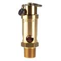 Safety Valve: Soft Seat, 1/2 in (M)NPT Inlet (In.), 1/2 in (F)NPT Outlet (In.)