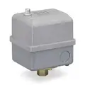 Square D Air Compressor and Water Pump Pressure Switch; Range: 32 to 250 psi, Port Type: (1) Port, 3/8 in FNP