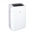Light Duty, Portable Air Conditioner, 9500 BtuH, 115V AC, Air-Cooled Vented