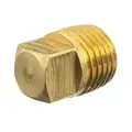 Square Head Plug: Brass, 1 1/4 in Fitting Pipe Size, Male NPT, Class 125, 1 1/4 in Overall Lg