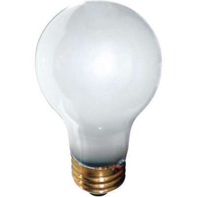 Incandescent Light Bulb,A19,