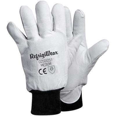 Cold Protection Gloves,XL,Gray,