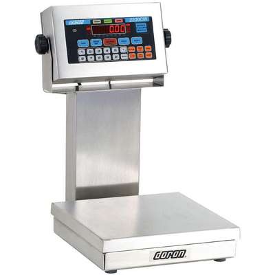 Checkweigher Scale,SS Pltfrm,