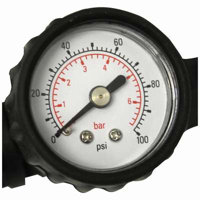 912518-1 Chapin Backpack Sprayer, Polyethylene Tank Material, 4