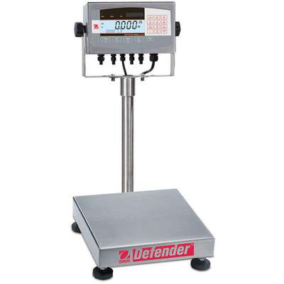 Precision Bench Scale,SS