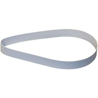 Replacement Belt,Poly,12 In.